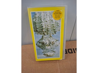 National Geographic Video: Alligatorns Rike