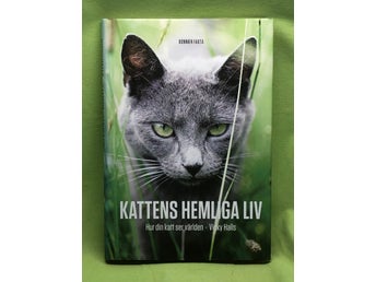 Kattens hemliga liv hur din katt ser på världen / Halls, Vicky