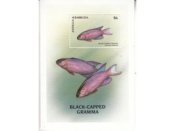 Antigua & Barbuda, Mi Bl 386, Fiskar, xx
