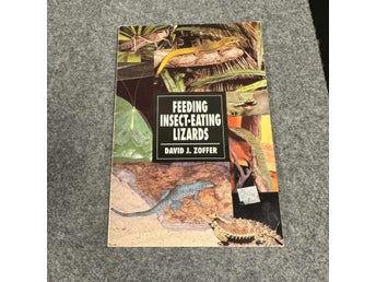 David J. Zoffer - Feeding insect-eating lizards