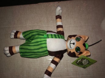 busiga katten Findus