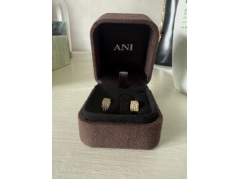 Ani örhängen