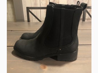clarks orinoco hot