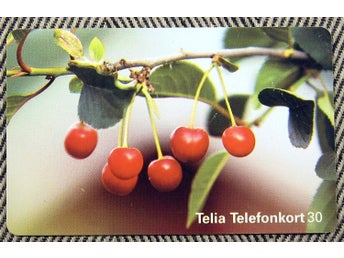 Telia Telefonkort 30 markeringar Retro Foto Björn Forsberg