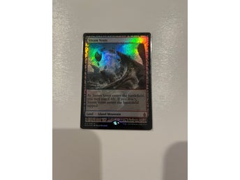 Magic the Gathering - Steam Vents