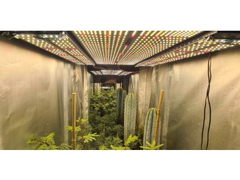 2 st LED-växtlampor 240W (VIPARSPECTRA P2000 + 200W Samsung LM301H Bar (4st PCB)