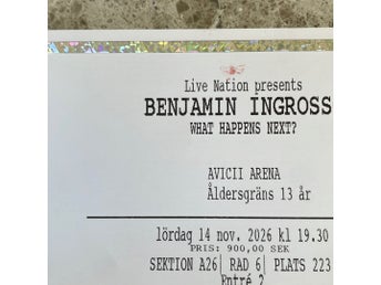 Benjamin Ingrosso