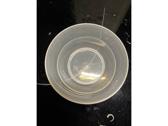 Tupperware liten skål begagnad