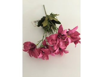 Bukett med Rosa Blommor