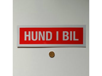 Hund i bil (Fri frakt) Dekal reflexmaterial
