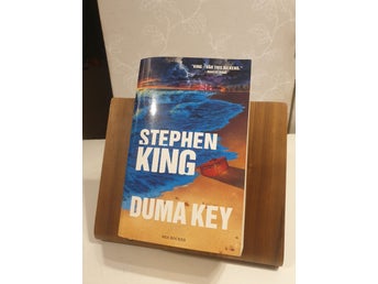 Duma Key av Stephen King, 2008