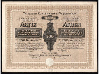 1923 Wien/Vienna, Austria: Trifailer Kohlenwerks-Gesellschaft - Coal