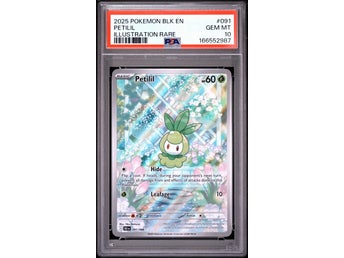 Petilil 091/086 PSA 10 Illustration Rare