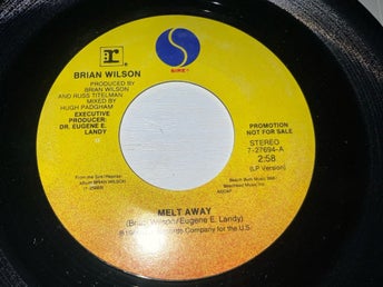Brian Wilson - Melt Away 7” USA Promo Singel Beach Boys