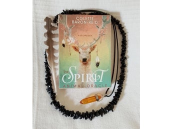 The Spirit Animal Oracle av Colette Baron-Reid