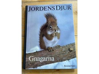 Jordens djur - Gnagarna