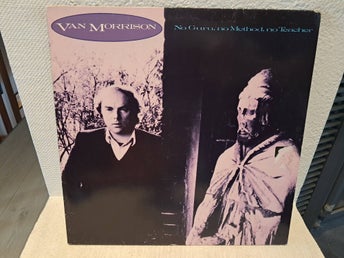 Van Morrison - No guru, no method, no teacher