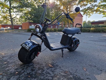 Citycoco, fatbike elscooter fatglinder elsparcykel