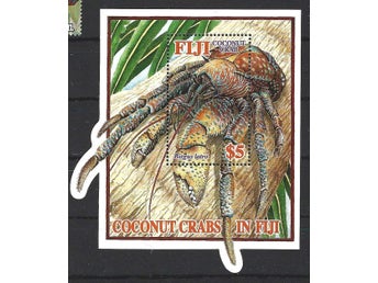 Fiji Krabba djur 1v i block