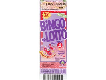 Bingolott 971129