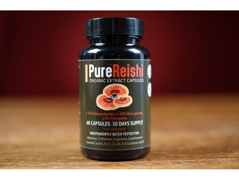 Reishi extrakt, 60 kapslar (lackticka, ganoderma lucidum, mushroom extract)