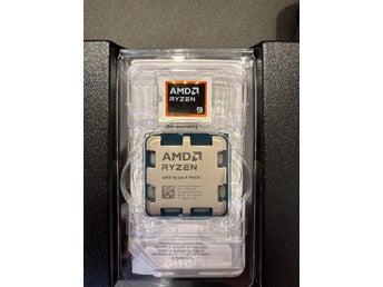 AMD Ryzen 9 9900x Processor