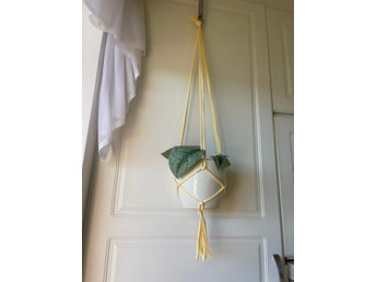 Ampel handmade, ljus gul, makrame 10-12 cm