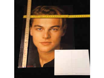 Leonardo DiCaprio (APR316) - Jätte Vykort 1st 30cm x 24cm Samlarobjekt