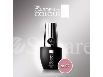 Hybrid Gel nail polish 07 laxrosa 15 g UV-LED lack No 7 Garden of Colour Silcare