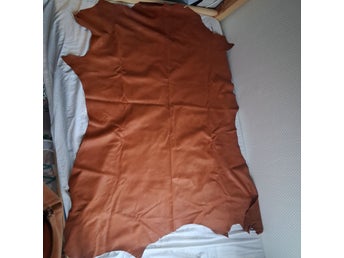 Stor äkta skinnbit