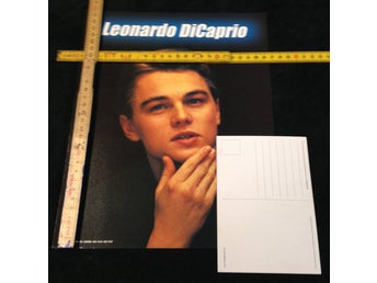 Leonardo DiCaprio (APR311) - Jätte Vykort 1st 30cm x 24cm Samlarobjekt