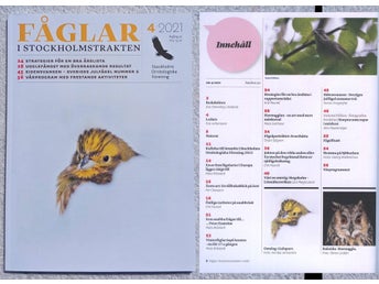 Fåglar i Stockholmstrakten, 4/2021