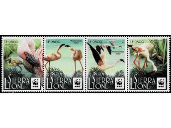 SIERRA LEONE 2017 Mi 8530-8533 WWF FÅGLAR MINDRE FLAMINGO ** VÄRDE 180.