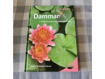 Dammar : trädgårdsexpertens bästa råd & tips