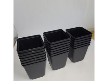 20x fyrkantiga krukor för sticklingar och plantor, 7x7x8 cm