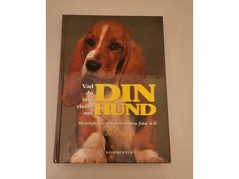 Din Hund av John Fisher, 1996