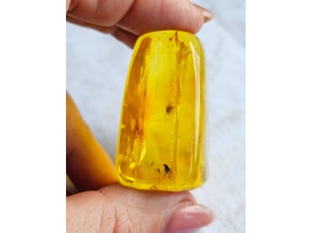Baltisk bärnsten med insekter. 38gram