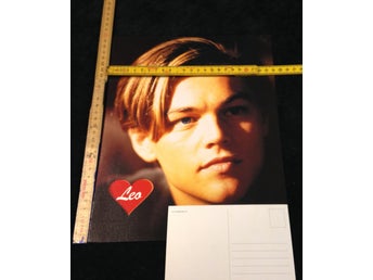 Leonardo DiCaprio (APR309) - Jätte Vykort 1st 30cm x 24cm Samlarobjekt