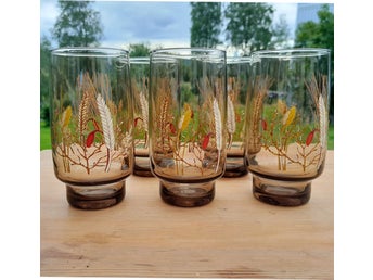 5 st Luminarc ”Tivoli Harvest” retroglas – rökfärgat glas 70-tal