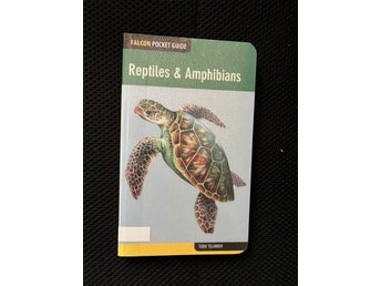 Reptiles & Amphibians. / Todd Telander