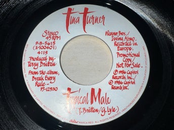 Tina Turner - Typical Male (Vinyl, 7