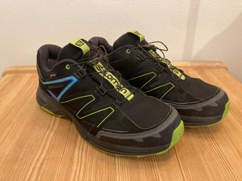 salomon wings access 3 gtx