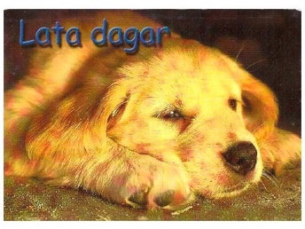 GOLDEN - LATA DAGAR