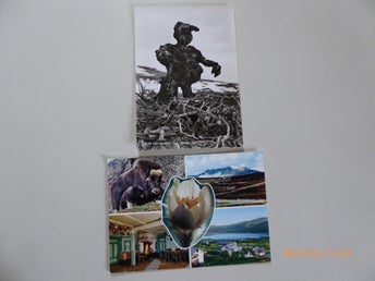 2st Vykort NORGE DOVREFJELL
