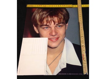 Leonardo DiCaprio (APR305) - Jätte Vykort 1st 30cm x 24cm Samlarobjekt