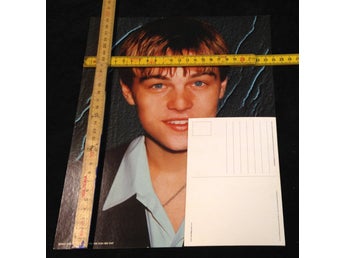 Leonardo DiCaprio (APR315) - Jätte Vykort 1st 30cm x 24cm Samlarobjekt