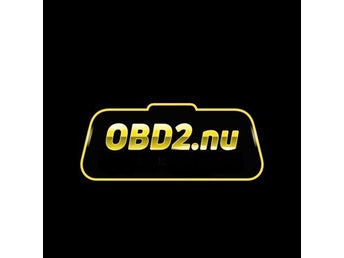 Domännamn: obd2.nu