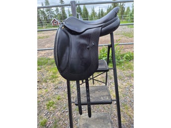 Ergo-X Salmiak dressyrB1 17''N W