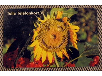 Telia Telefonkort 30 markeringar Retro Foto Lars Ingles Solros
