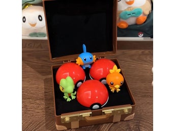 Pokémon First Partner Mini Adventure Blind Box